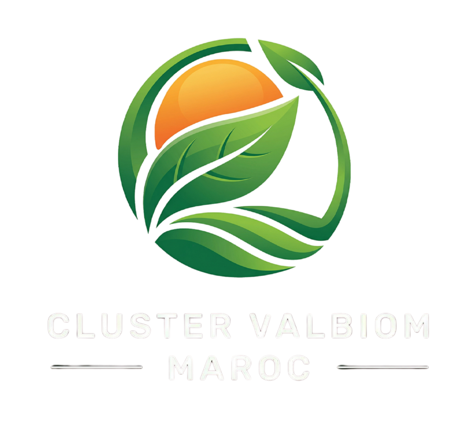 Cluster